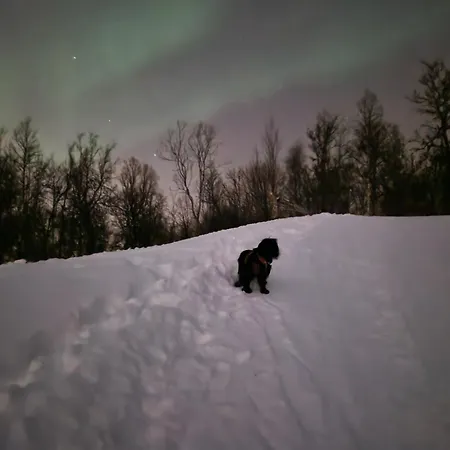 Appartement Warm And Cosy Tromsø