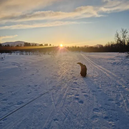 Warm And Cosy Appartement Tromsø