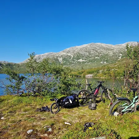 Warm And Cosy Appartement