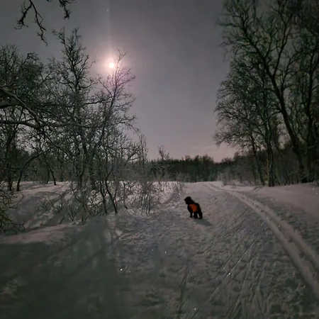 Warm And Cosy Tromsø