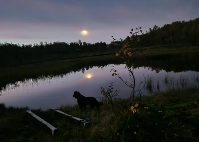 Warm And Cosy * Tromsø
