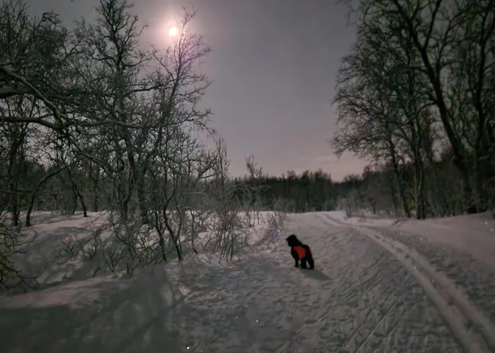 Warm And Cosy Tromsø