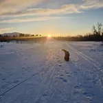 Warm And Cosy Апартаменты Тромсё